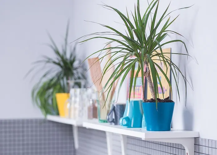 게스트하우스 Poddasze Pokoje I 비드고슈치