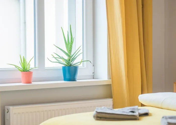 게스트하우스 Poddasze Pokoje I 비드고슈치